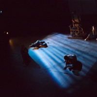 Photo by Judy Sirota Rosenthal
