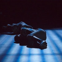 Photo by Judy Sirota Rosenthal