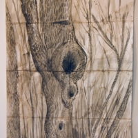 Tree-at-Weir-Farm-3
